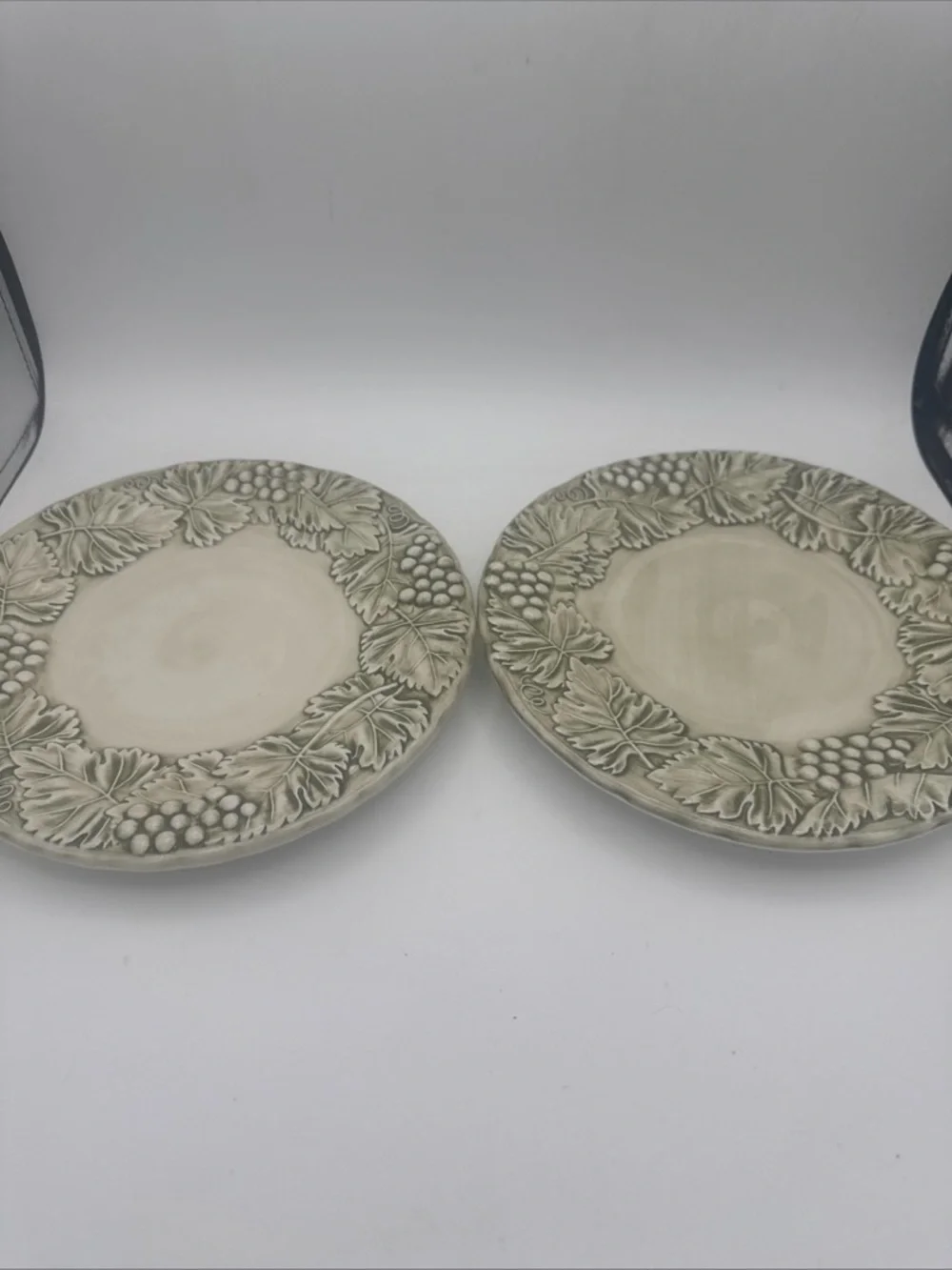 2 VTG Williams Sonoma Napa Sage Raised Grape Leave Design Salad Plates Italy